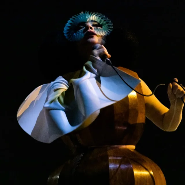 Björk fotoğrafı